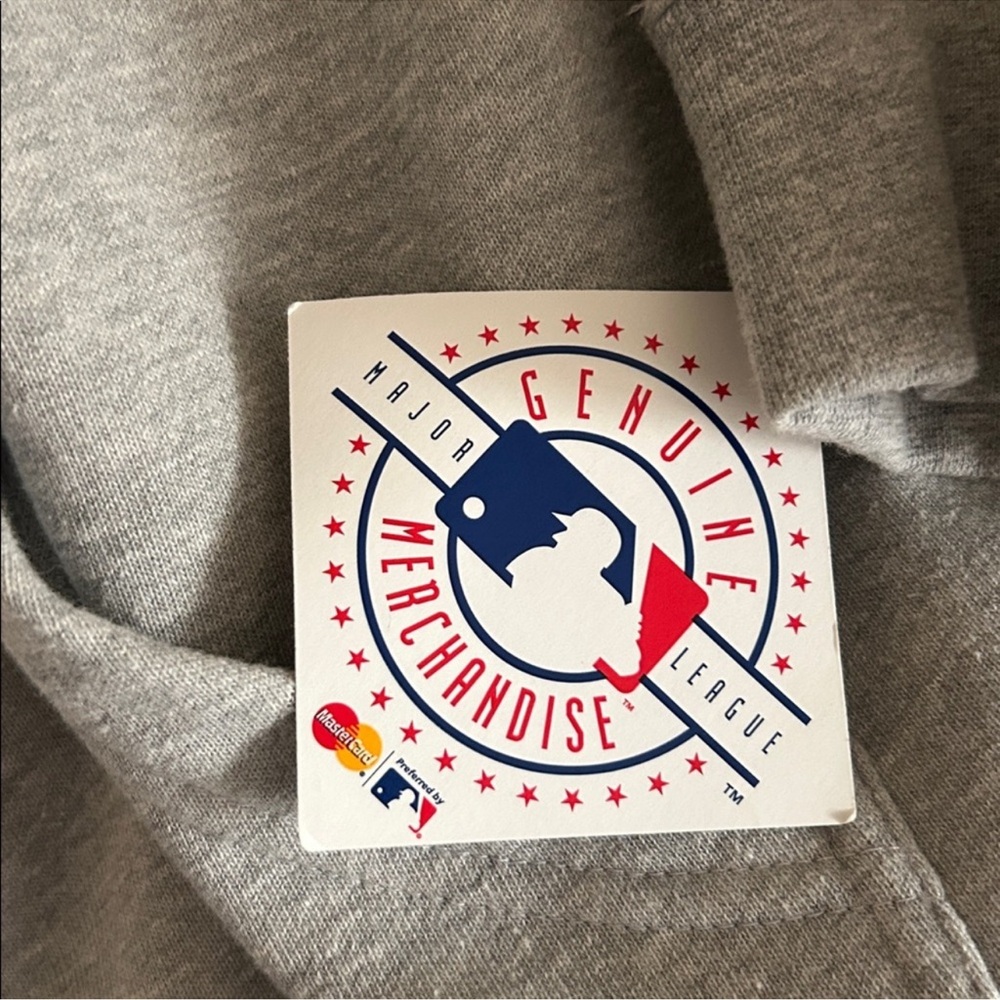 American League Champion Hoodie Houston Astros - Picture 5 of 7